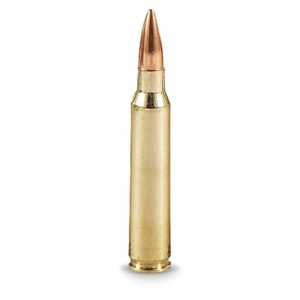 50 Rounds of American Quality .223 Remington Ammunition 50 Rounds FMJ 55 Grain Winchester Brass