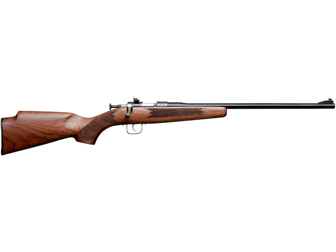 Chipmunk Deluxe Single Shot Youth Rimfire Rifle 22 Long Rifle 16.13" Barrel Blued and Walnut Monte Carlo