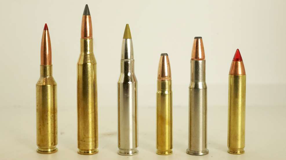 Top 6 Low-Recoil Hunting Cartridges