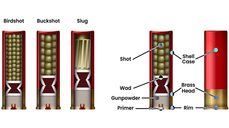 Shotgun Basics: 3 Types of Shotshells (& Why It Matters)